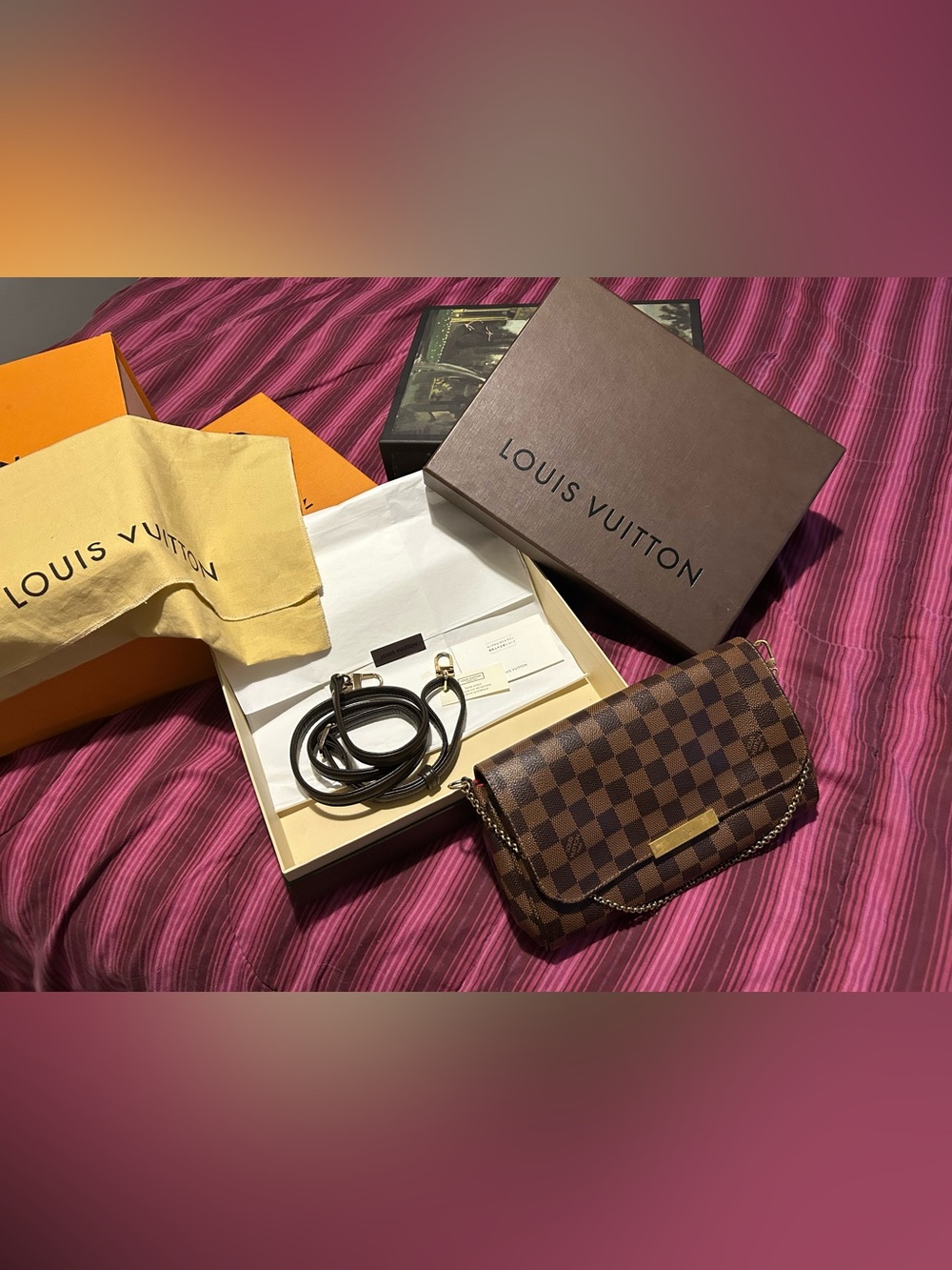 Louis Vuitton Favorite MM in Damier Ebene